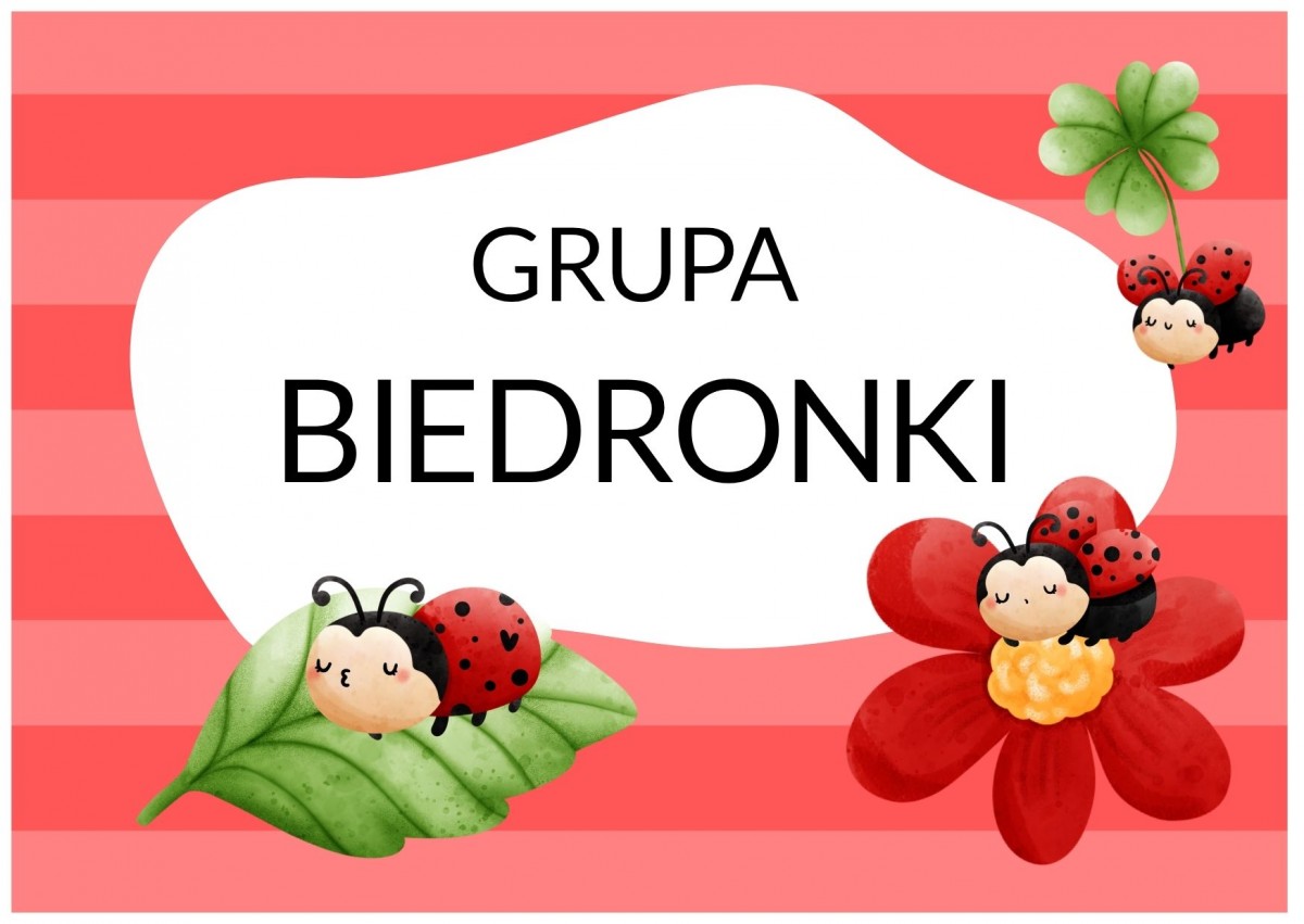 Plakat z napisem grupa Biedronki oraz rysunkiem biedronek: na liściu, kwiatku i z konieczyną